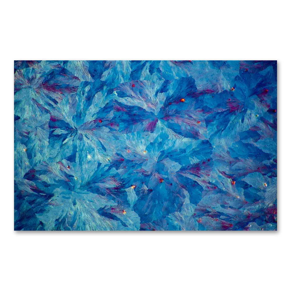 Bowties On A Spotless Mind